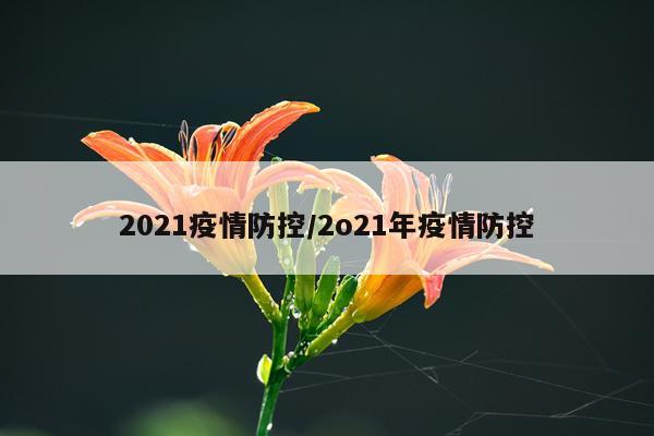 2021疫情防控/2o21年疫情防控