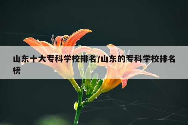 山东十大专科学校排名/山东的专科学校排名榜