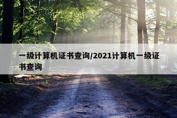 一级计算机证书查询/2021计算机一级证书查询