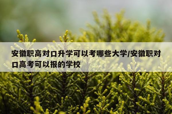 安徽职高对口升学可以考哪些大学/安徽职对口高考可以报的学校