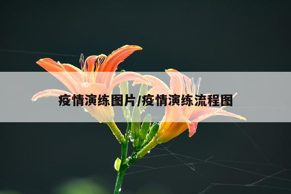 疫情演练图片/疫情演练流程图