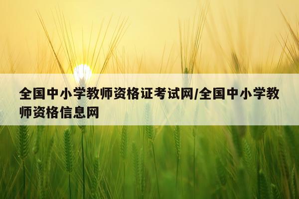 全国中小学教师资格证考试网/全国中小学教师资格信息网