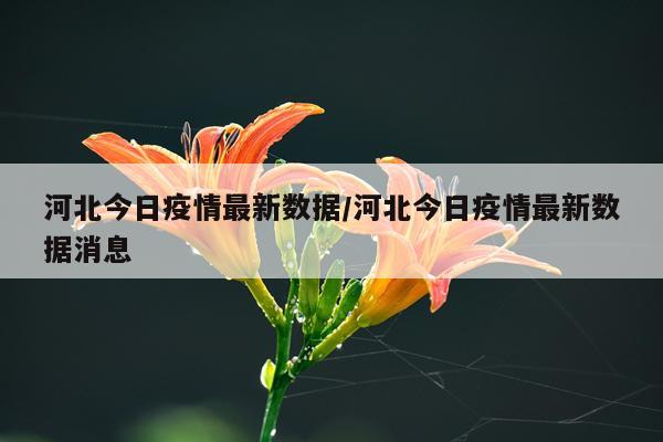 河北今日疫情最新数据/河北今日疫情最新数据消息