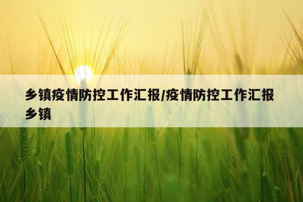 乡镇疫情防控工作汇报/疫情防控工作汇报 乡镇