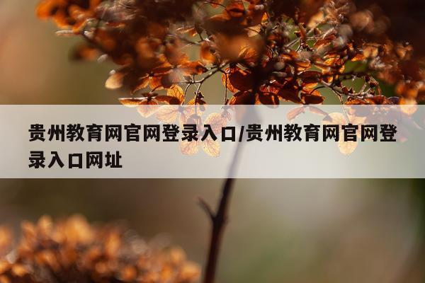 贵州教育网官网登录入口/贵州教育网官网登录入口网址