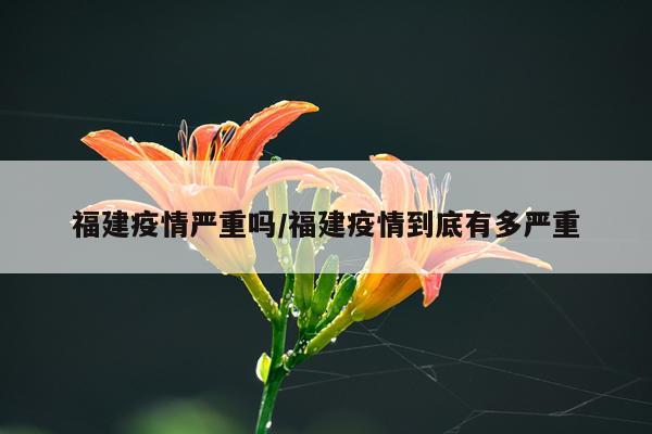 福建疫情严重吗/福建疫情到底有多严重