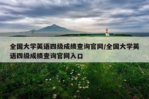 全国大学英语四级成绩查询官网/全国大学英语四级成绩查询官网入口