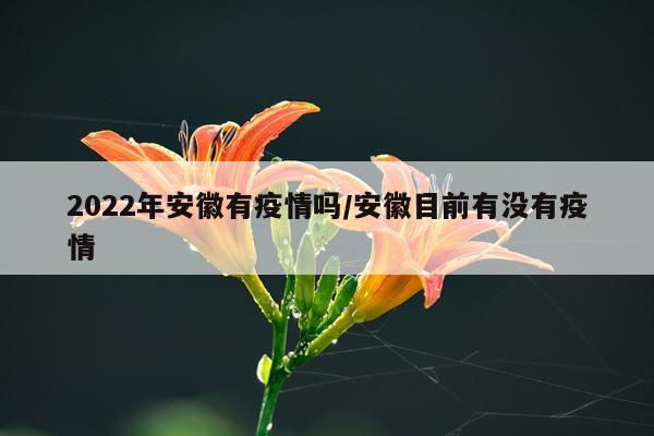2022年安徽有疫情吗/安徽目前有没有疫情
