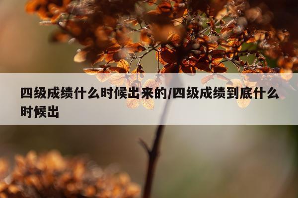 四级成绩什么时候出来的/四级成绩到底什么时候出