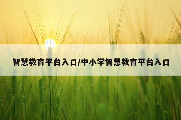 智慧教育平台入口/中小学智慧教育平台入口