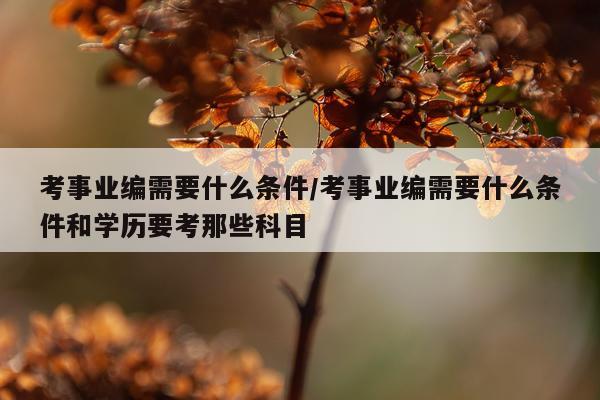 考事业编需要什么条件/考事业编需要什么条件和学历要考那些科目