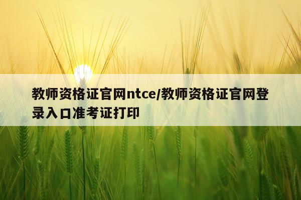 教师资格证官网ntce/教师资格证官网登录入口准考证打印