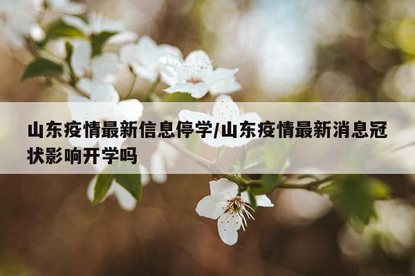 山东疫情最新信息停学/山东疫情最新消息冠状影响开学吗