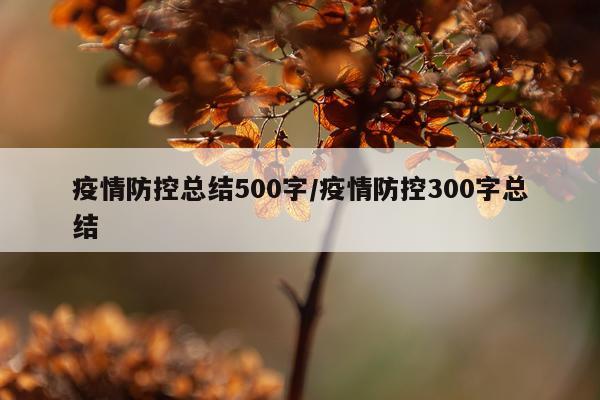 疫情防控总结500字/疫情防控300字总结