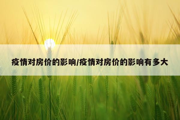 疫情对房价的影响/疫情对房价的影响有多大
