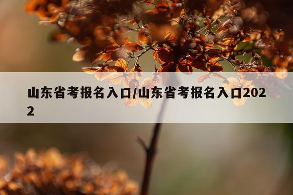 山东省考报名入口/山东省考报名入口2022
