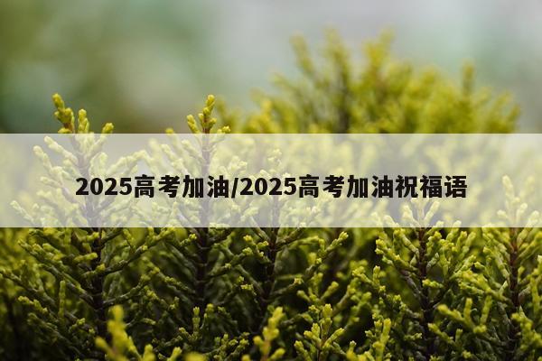 2025高考加油/2025高考加油祝福语