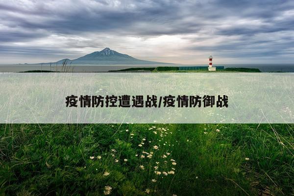 疫情防控遭遇战/疫情防御战