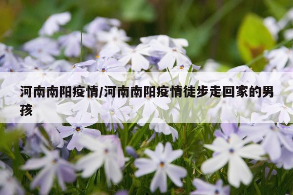 河南南阳疫情/河南南阳疫情徒步走回家的男孩