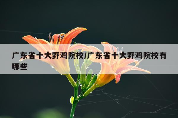 广东省十大野鸡院校/广东省十大野鸡院校有哪些
