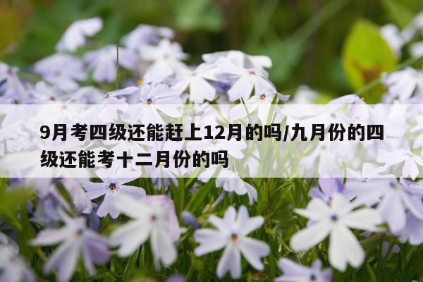 9月考四级还能赶上12月的吗/九月份的四级还能考十二月份的吗