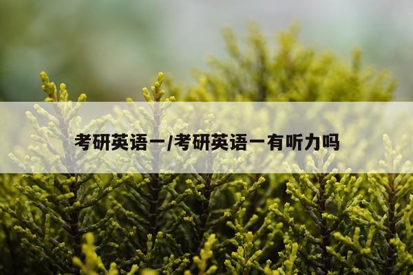 考研英语一/考研英语一有听力吗