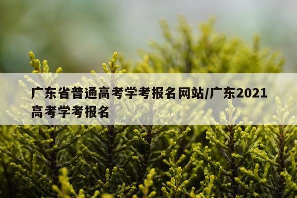 广东省普通高考学考报名网站/广东2021高考学考报名