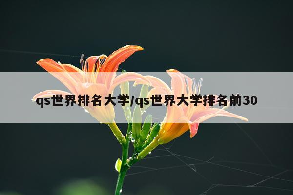 qs世界排名大学/qs世界大学排名前30