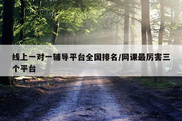 线上一对一辅导平台全国排名/网课最厉害三个平台
