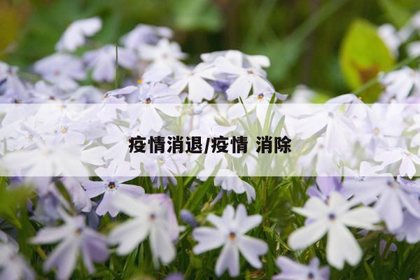 疫情消退/疫情 消除