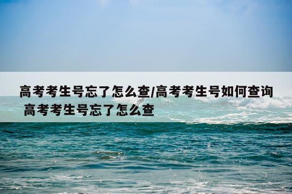 高考考生号忘了怎么查/高考考生号如何查询 高考考生号忘了怎么查