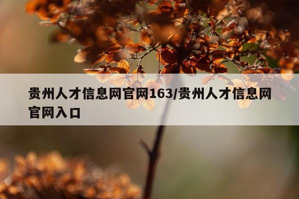 贵州人才信息网官网163/贵州人才信息网官网入口