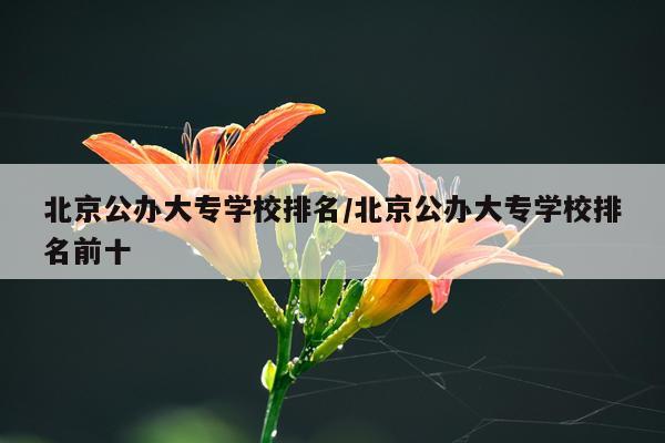 北京公办大专学校排名/北京公办大专学校排名前十
