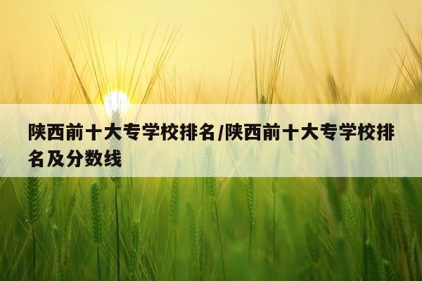 陕西前十大专学校排名/陕西前十大专学校排名及分数线
