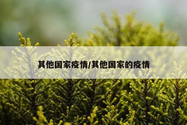 其他国家疫情/其他国家的疫情