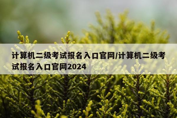 计算机二级考试报名入口官网/计算机二级考试报名入口官网2024