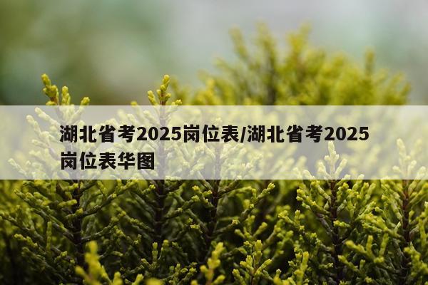 湖北省考2025岗位表/湖北省考2025岗位表华图