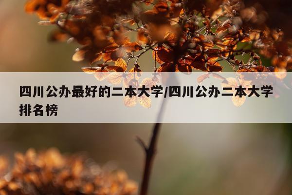 四川公办最好的二本大学/四川公办二本大学排名榜