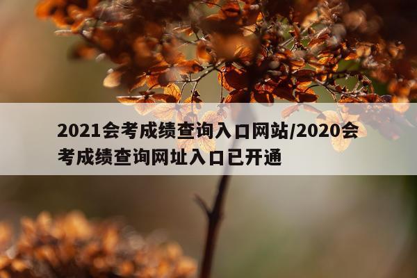 2021会考成绩查询入口网站/2020会考成绩查询网址入口已开通