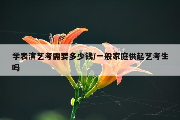 学表演艺考需要多少钱/一般家庭供起艺考生吗