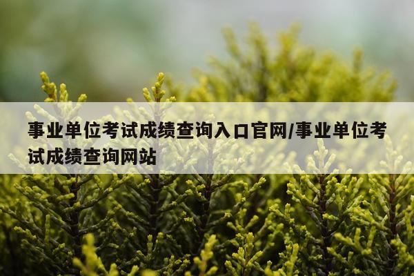 事业单位考试成绩查询入口官网/事业单位考试成绩查询网站
