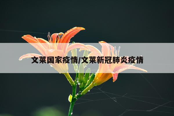 文莱国家疫情/文莱新冠肺炎疫情