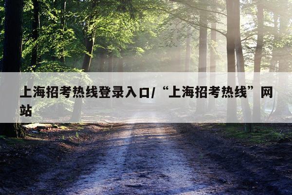 上海招考热线登录入口/“上海招考热线”网站