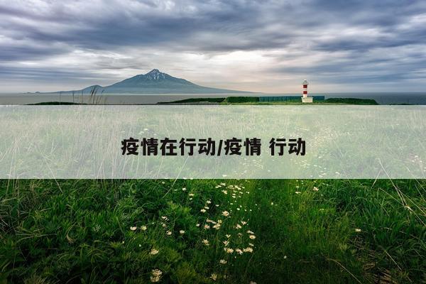 疫情在行动/疫情 行动
