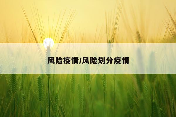 风险疫情/风险划分疫情
