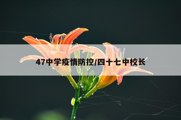 47中学疫情防控/四十七中校长