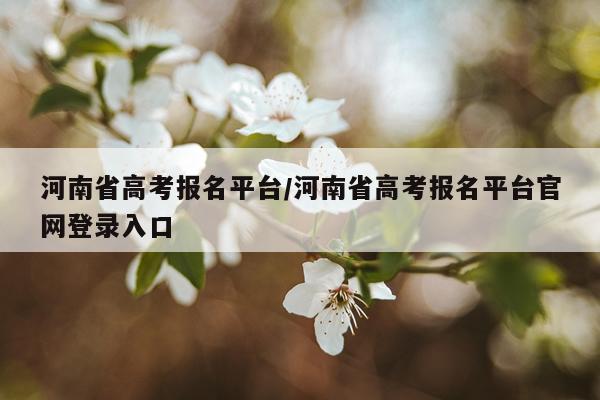 河南省高考报名平台/河南省高考报名平台官网登录入口