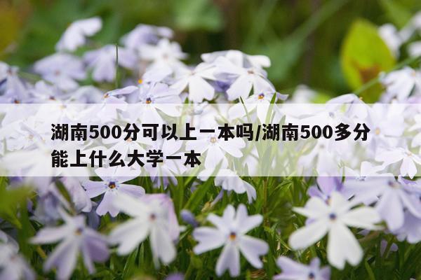 湖南500分可以上一本吗/湖南500多分能上什么大学一本