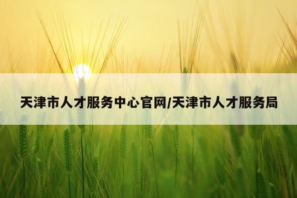 天津市人才服务中心官网/天津市人才服务局
