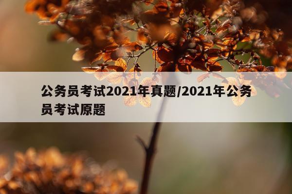 公务员考试2021年真题/2021年公务员考试原题